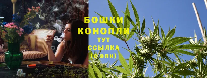 Бошки марихуана OG Kush  Адыгейск 